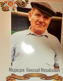 Медведев Николай Михайлович