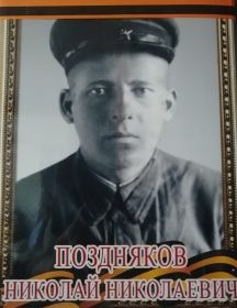 Поздняков Николай Николаевич