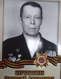 Игошин Николай Андреевич