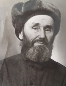 Долгомиров Василий Павлович