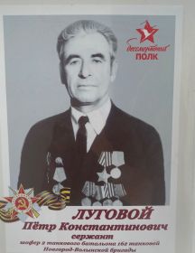 Луговой Петр Константинович