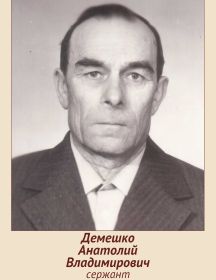 Демешко Анатолий Владимирович