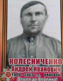Колесниченко Андрей Иванович