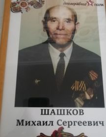 Шашков Михаил Сергеевич