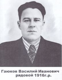 Гаюков Василий Иванович