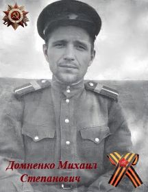 Домненко Михаил Степанович