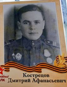 Кострецов Дмитрий Афанасьевич