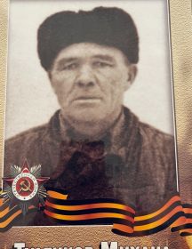 Тулинков Михаил Михайлович
