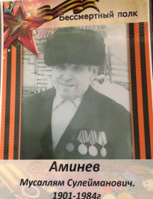 Аминев Мусаллям Сулейманович