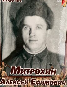 Митрохин Алексей Ефимович