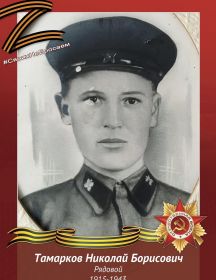 Тамарков Николай Борисович