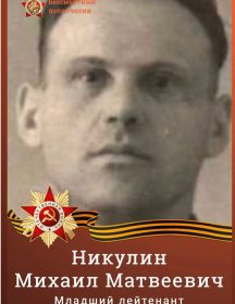Никулин Михаил Матвеевич