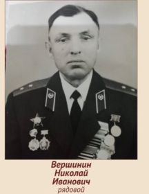 Вершинин Николай Иванович