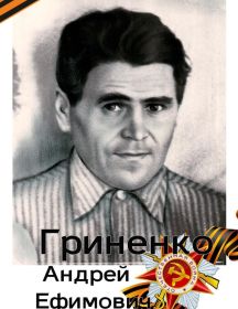 Гриненко Андрей Ефимович
