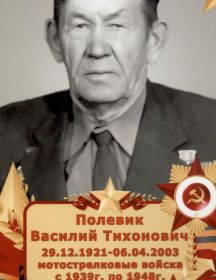 Полевик Василий Тихонович