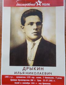 Дрыкин Илья Николаевич