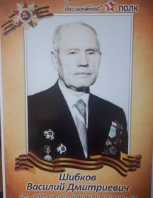 Шибков Василий Дмитриевич