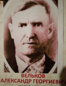 Вельков Александр Георгиевич