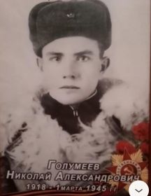 Голумеев Николай Александрович