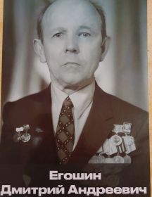 Егошин Дмитрий Андреевич