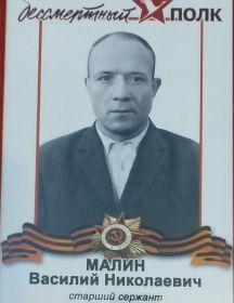 Малин Василий Николаевич