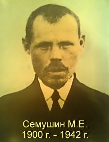 Семушин Михаил Евдокимович