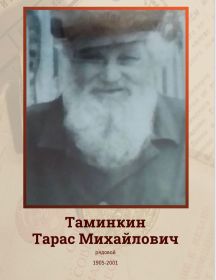 Таминкин Тарас Михайлович