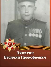 Никитин Василий Прокофьевич