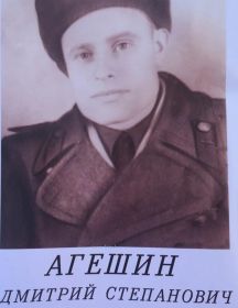 Агешин Дмитрий Степанович