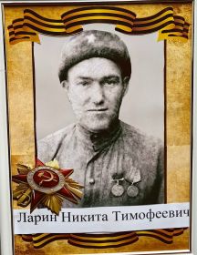 Ларин Никита Тимофеевич