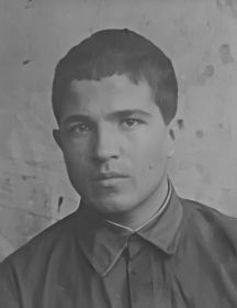 Пестун Иван Степанович