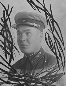 Пестун Василий Степанович
