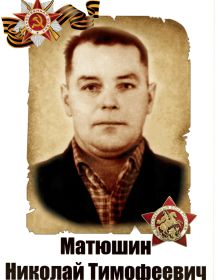 Матюшин Николай Тимофеевич