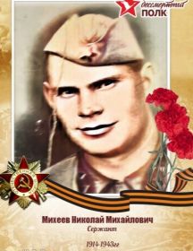 Михеев Николай Михайлович