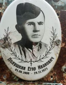 Полушкин Егор Иванович