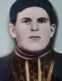 Перцев Николай Фёдорович