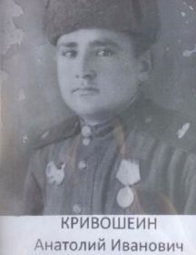 Кривошеин Анатолий Иванович