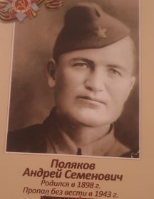 Поляков Андрей Семёнович