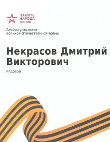 Некрасов Дмитрий Викторович