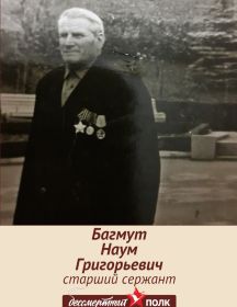 Багмут Наум Григорьевич