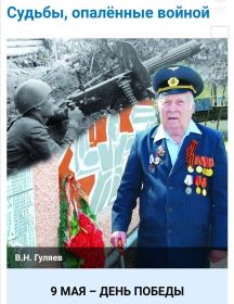 Гуляев Василий Николаевич
