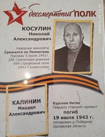 Косулин Николай Александрович