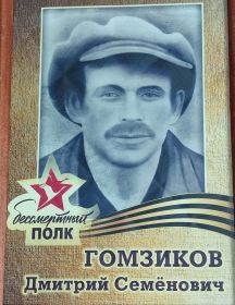 Гомзиков Дмитрий Семёнович