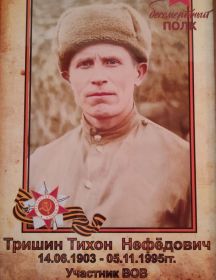 Тришин Тихон Нефёдович
