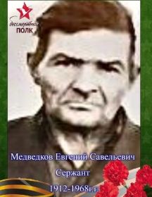 Медведков Евгений Савельевич