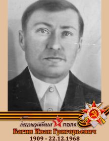 Багин Иван Григорьевич