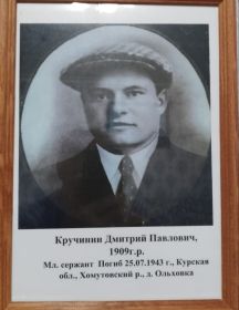 Кручинин Дмитрий Павлович