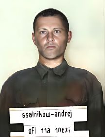 Сальников Андрей Иванович