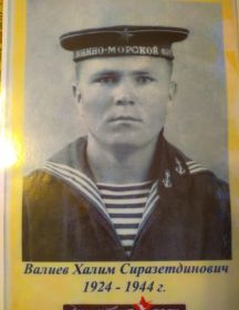 Валиев Халим Сиразетдинович
