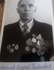 Степанов Андрей Семенович